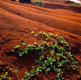 彭博社：索尼SIE“最早下周”公布新的订阅服务